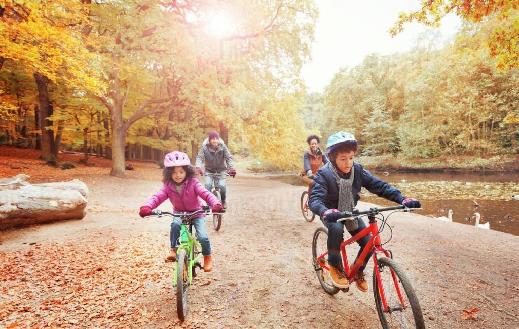 Four children ride bikes along a leaf-covered path in a sunlit autumn park by a lake.