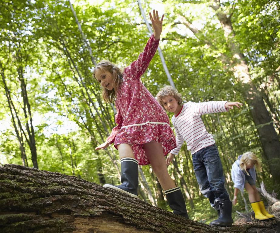 Three children balance on a mossy log in a sunlit forest, led by a girl in a pink dress with raised arm in the foreground.